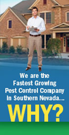 Why Global Pest