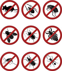 pests